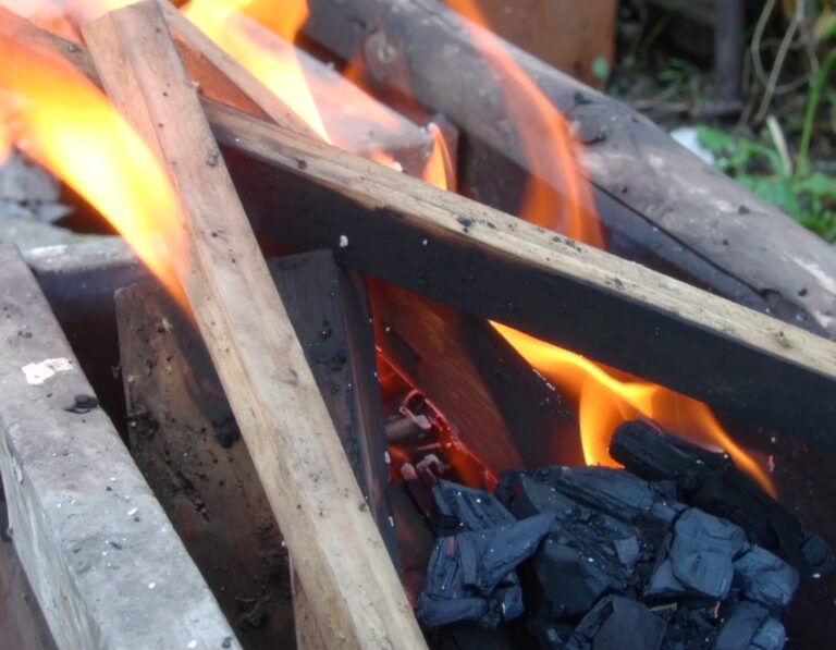 Making Your Own Biochar: A Guide for Beginners